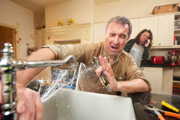 Best Commercial water damage restoration  in Spring Hill, FL